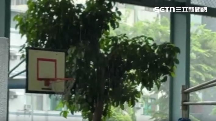 兩名同學在安親班帶去打籃球時爆發衝突