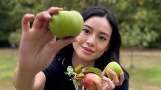不只投胎贏！百億千金林恬兒學歷太猛
