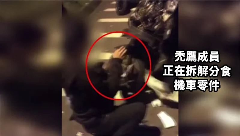 男大生跑山自摔！愛車精品被山道禿鷹拆光