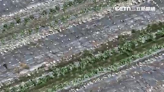 萬里溪河道紅色警戒　農民無法灌溉毀生計