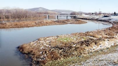 1人溺水「4友接力救」　全遭滅頂釀5死