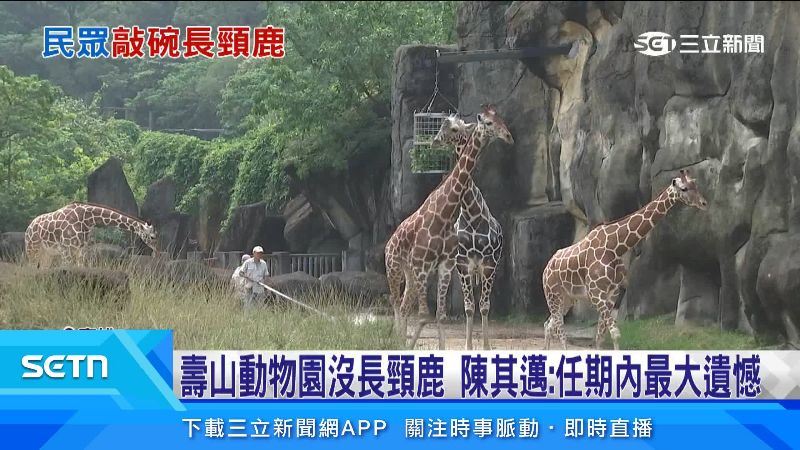 長頸鹿是民眾心中動物園的標配