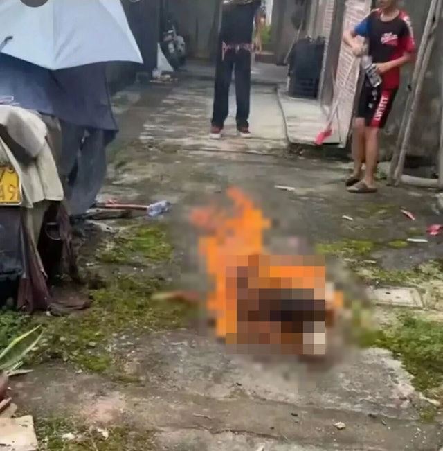 廣東揭陽4名年齡未滿14歲的小六生,對流浪母狗及出生僅半個月的3隻幼犬活活燒死,慘忍至極。(圖/翻攝微博)