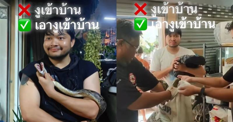 拉查塔酒後將野生蟒蛇抱回家,隔天酒醒看見救援人員上門一臉茫然。(圖/翻攝自IG/@tracha_a)