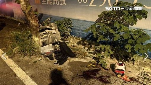 17歲小情侶撞樹雙亡　家屬：不知他們外出