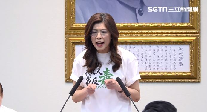 鄭麗文在國民黨中常會發表談話(圖/翻攝畫面)