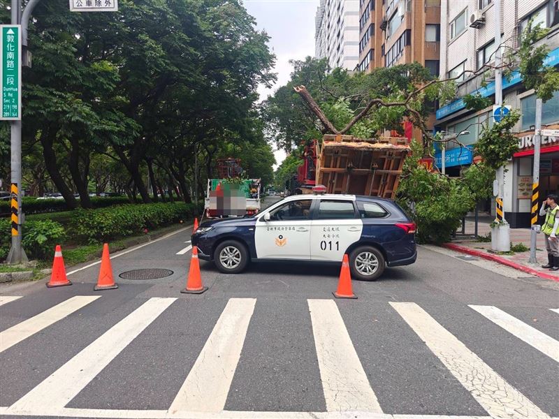 台北市大安區敦化南路、和平路口今（23日）上午一輛曳引車不慎撞倒路樹。（圖／翻攝畫面）