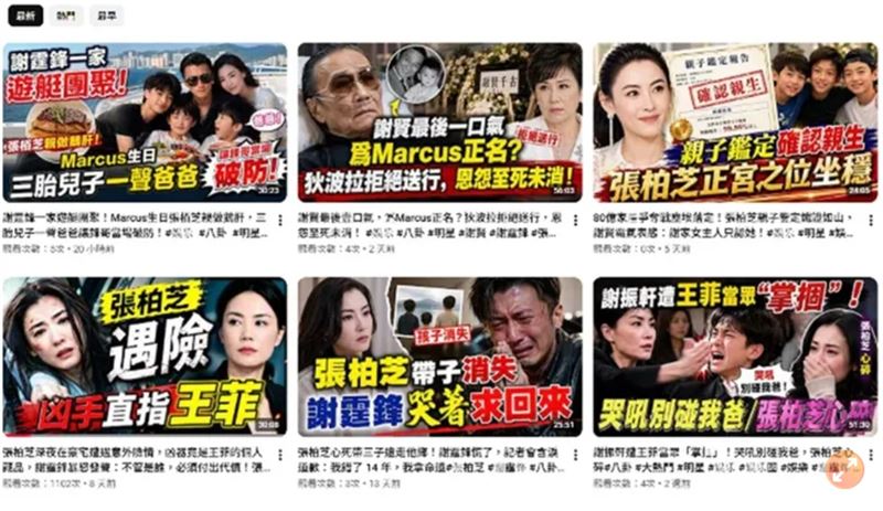 台玻總裁夫人徐莉玲爆料出處來自YouTube影片。(圖/翻攝自YouTube)