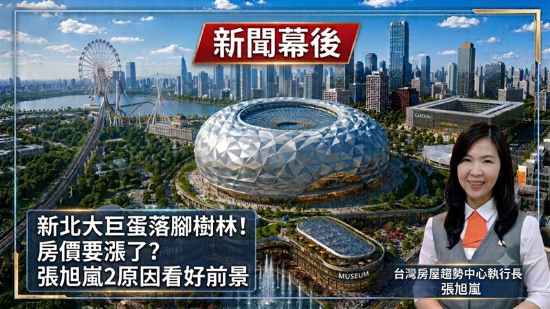 幕後／大巨蛋讓樹林漲房價？張旭嵐這樣看