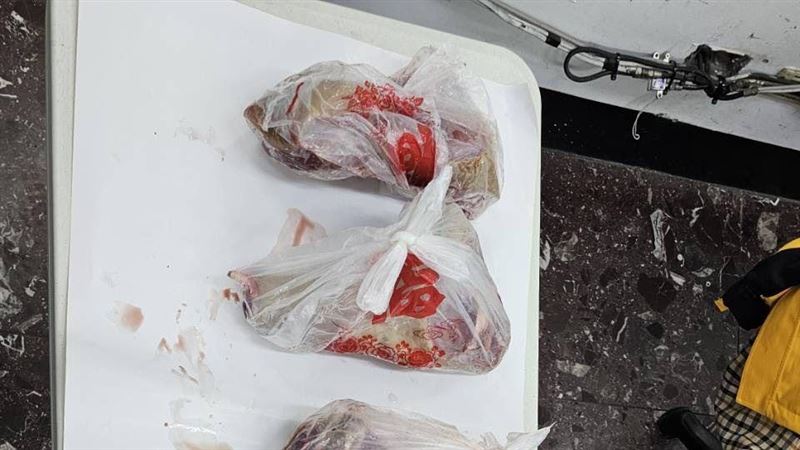 失聯移工山區改造槍、保育類山豬變盤中飧