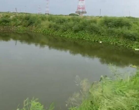 搜救人員出動空拍機在魚塭附近搜尋,發現老翁趴臥於水面上已死亡。(圖/翻攝畫面)