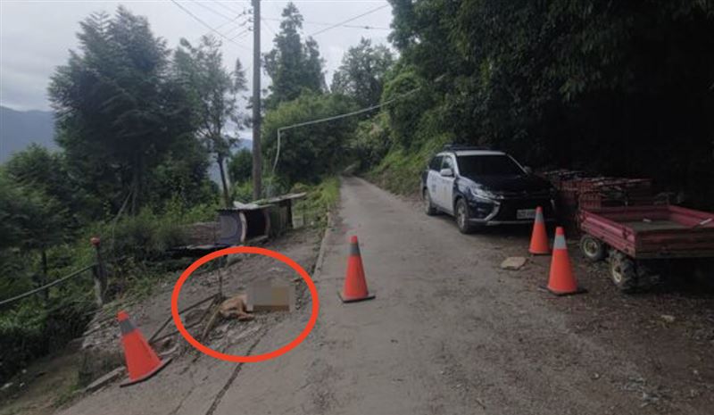 看門犬「小黃」遭小偷殘忍劈死。(圖/翻攝畫面)