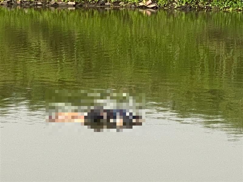 老翁被發現趴臥漂浮在水面上,已明顯死亡。(圖/翻攝畫面)