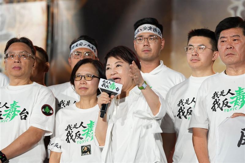 盧秀燕說,20萬人7/25站上凱道,這是偉大的台灣公民、台灣的主人發出的怒吼。(圖/翻攝自盧秀燕臉書)