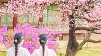 最新「旅行社黑名單」出爐！9家直接廢照