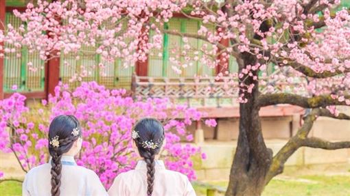 最新「旅行社黑名單」出爐！9家直接廢照