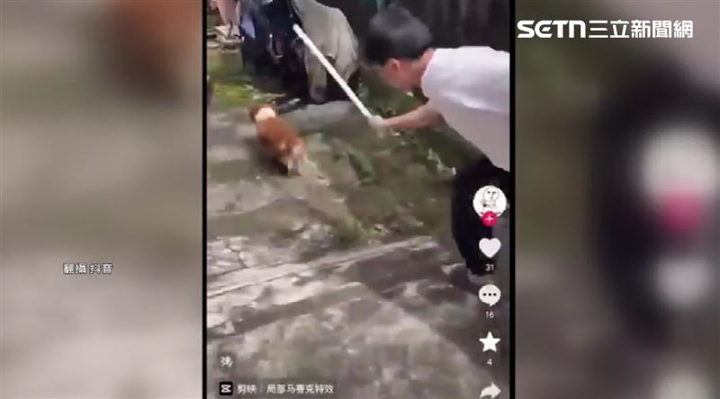 中國男童虐打「旺旺」引發國際輿論。(圖/翻攝自抖音)