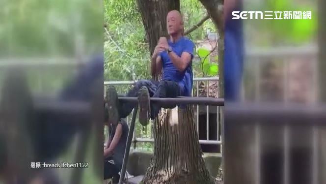 獨／長輩團秀神技！鐵鍊倒立、單槓樣樣來