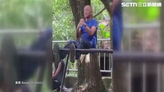 獨／長輩團秀神技！鐵鍊倒立、單槓樣樣來
