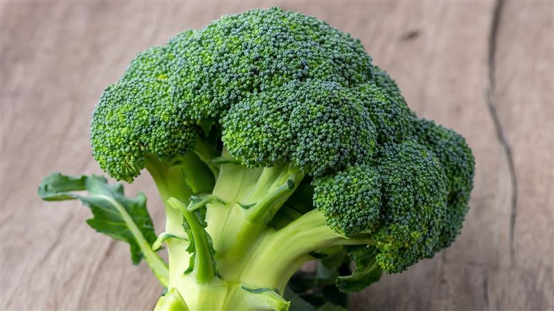 青花菜富含維生素C、膳食纖維與蘿蔔硫素等，具抗氧化、調節免疫潛力。營養師老辜提醒，切後靜置10分鐘再蒸5分鐘，有助保留更多營養。（示意圖／AI製圖）