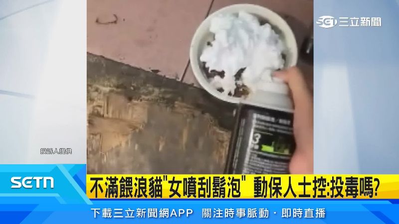 一整個貓碗都是刮鬍泡