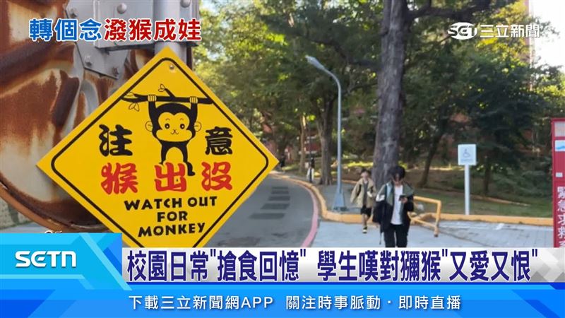 中山大學時常上演人猴衝突讓師生又愛又恨，獼猴既是麻煩也是特色