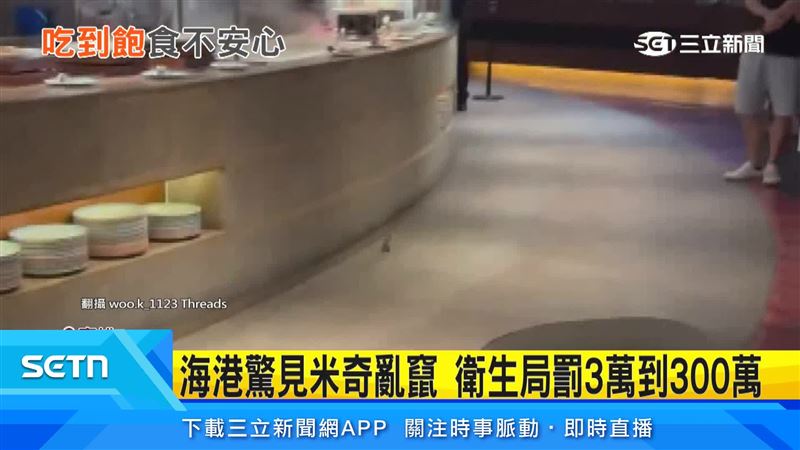 漢來集團接連爆出兩起食安爭議，海港餐廳出現老鼠，島語則傳出多人用餐後上吐下瀉。（圖／翻攝自Threads @woo.k_1123）