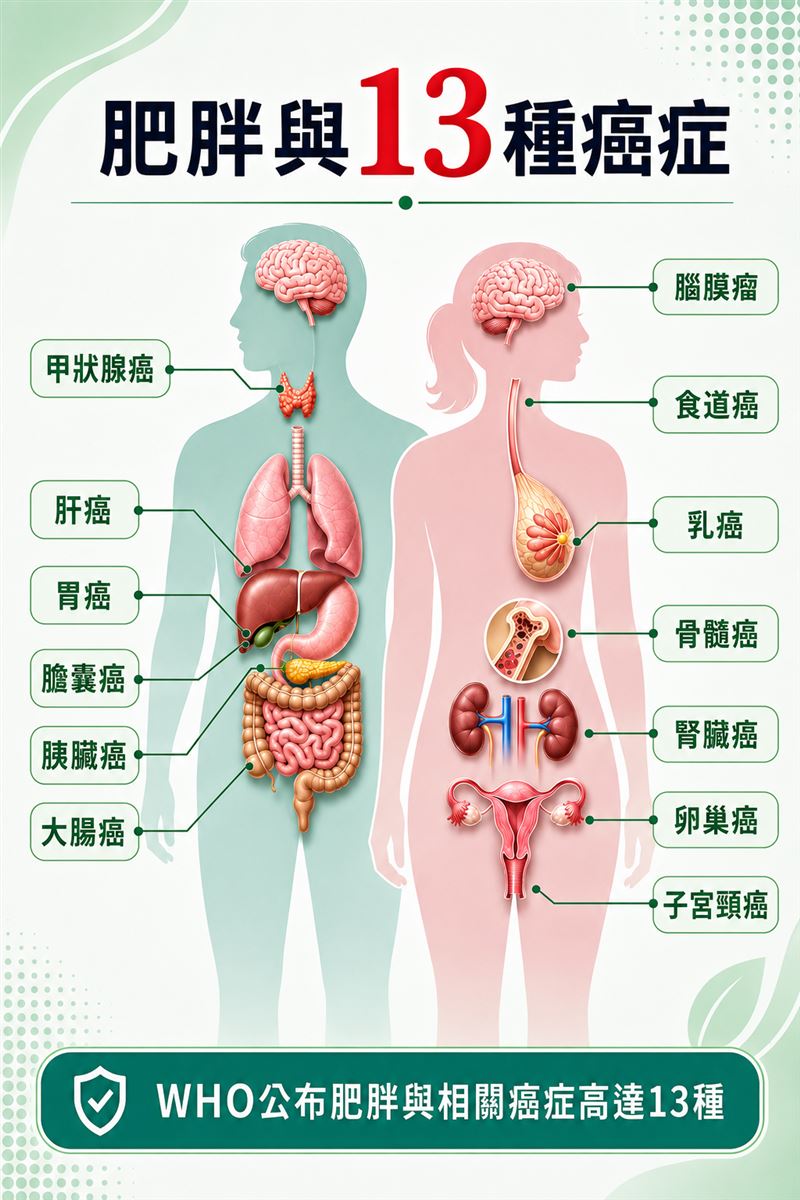 防癌快看！國際期刊證實胖是得癌關鍵風險，整形名醫潘致皓醫師曝４個恐怖真相。（圖／ChatGPT製作、潘致皓醫師提供）