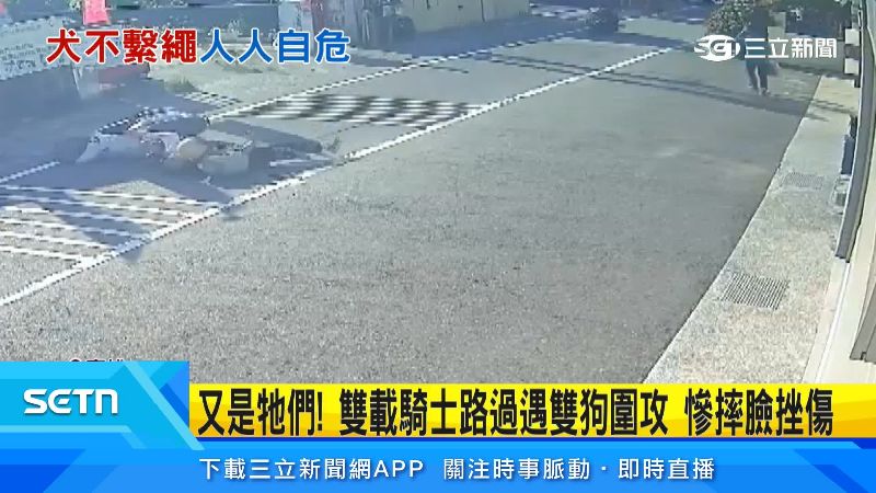騎士和乘客摔落在地
