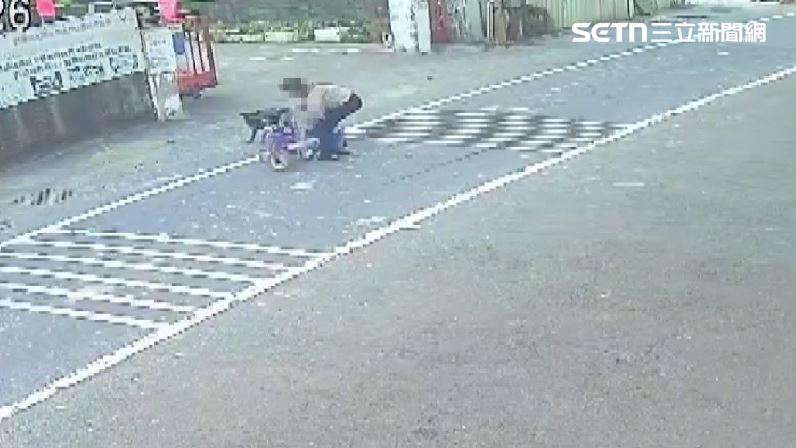 雙載騎士路過遇雙狗圍攻 慘摔臉挫傷
