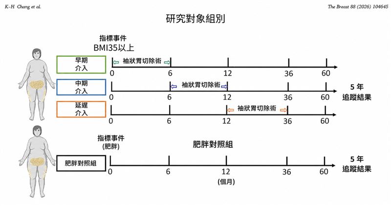 研究團隊比對BMI35的病人接受減重手術的時機對乳癌發生率的影響,證實及早接受減重手術,乳癌發生風險可降低約20%。(圖/台北慈濟醫院提供)
