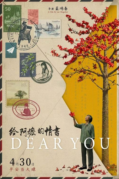 《給阿嬤的情書》票房近百億!3封信哭翻5800萬人,主題曲《月下煮茶》演唱者陳佳跟鄧麗君緣份感動曝光。(圖/翻攝自豆瓣電影)