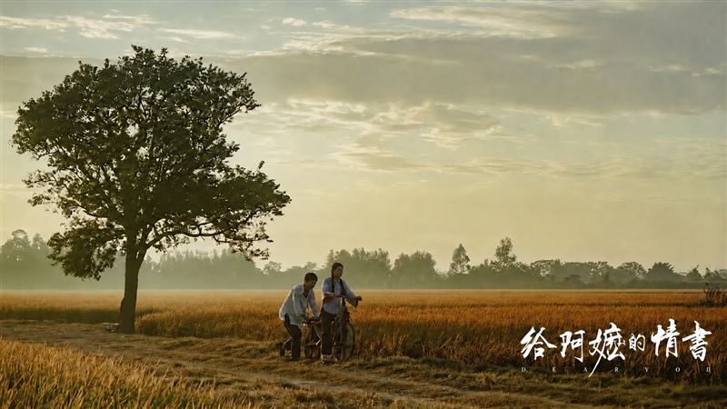 《給阿嬤的情書》票房近百億!3封信哭翻5800萬人,主題曲《月下煮茶》演唱者陳佳跟鄧麗君緣份感動曝光。(圖/翻攝自豆瓣電影)