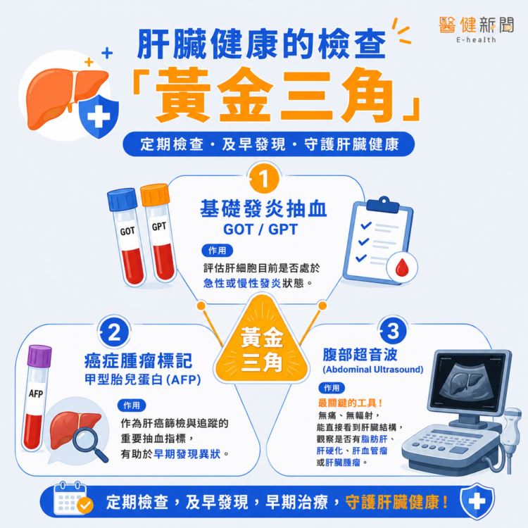 肝臟健康的檢查「黃金三角」!(圖/醫健新聞網提供)