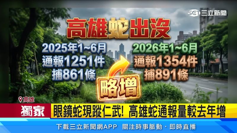 高雄今年通報跟捕捉量都有上升