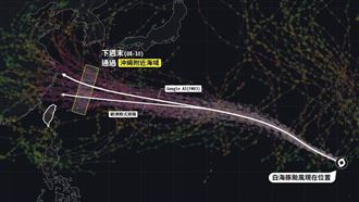 白海豚不轉彎了！「1走法」發海警機率增