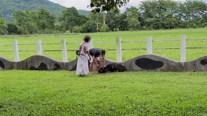 男飼主當場情緒失控暴打、猛踹教訓黑狗。(圖/翻攝畫面)