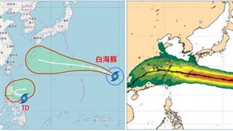 白海豚這2天最近台恐海警 鯨魚估今晚生成