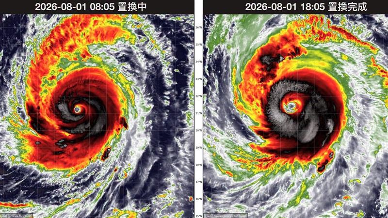 白海豚將再迎巔峰!1路徑台灣恐難逃風雨