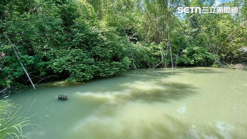 現場散落一地麵包屑,懷疑父親是餵魚不慎失足跌落溺斃。(圖/翻攝畫面)