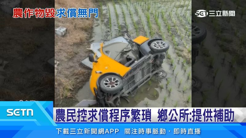 伯朗大道常常發生遊客租車摔田、壓毀農作物的狀況