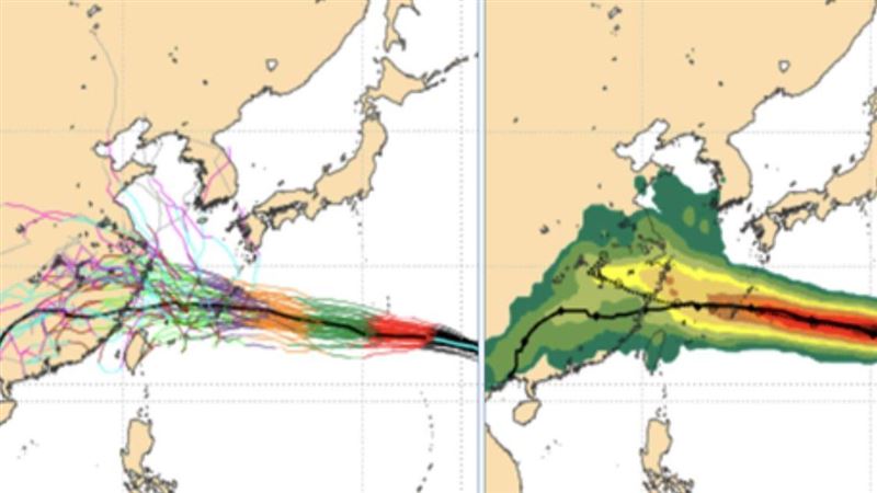 今飆38度 白海豚「這天最近台」恐發海警