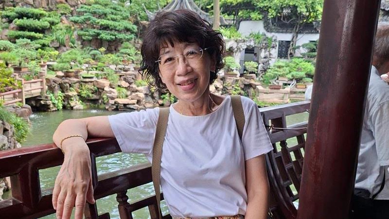 登中國官媒!網酸陳佩琪劇本太巧