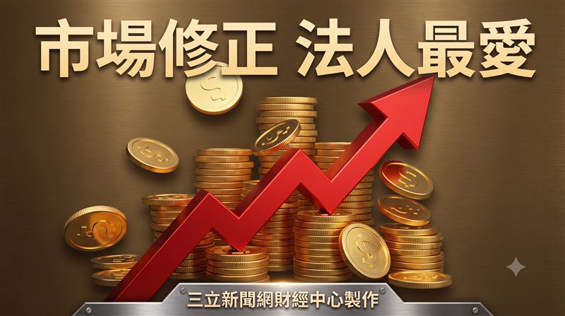 市場修正法人點名它　前五大持股曝光！