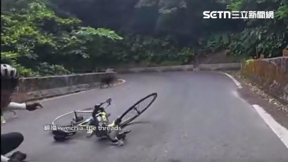飼主遛狗不牽繩,害騎士慘摔
