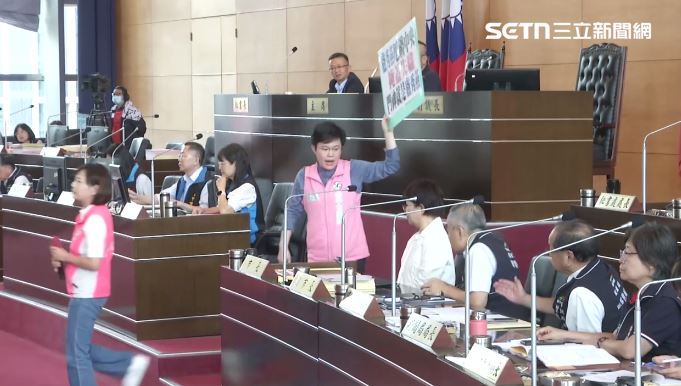 綠議員重話轟盧秀燕：毒媽媽、後母市長