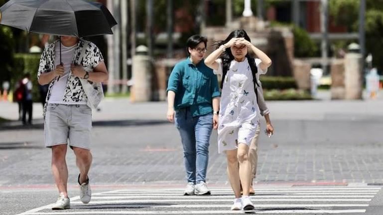 7月804人熱到送醫　國健署：在家也會中暑
