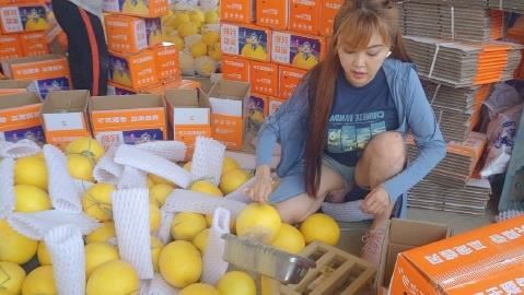 劉樂妍賣瓜果。（圖／翻攝劉樂妍微博）