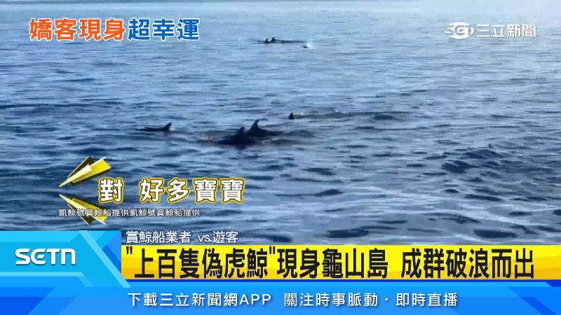 旅客和業者都非常驚訝。(圖/凱鯨號賞鯨船提供)