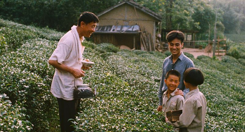 台灣經典國片《魯冰花》上映以來票房已一舉突破650萬,觀眾好評不斷延燒。(圖/國家電影及視聽文化中心提供)